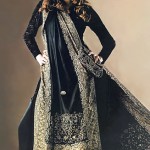 Festive Salwar Kameez
