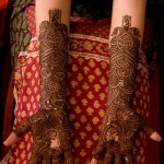 Pakistani Mehndi With Stuffed Designs