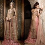Designers Collection | Bridal Dress