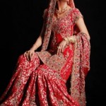 Pakistani Bridal Sharara Dresses