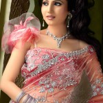 Indian Sarees Collection 2012 - Saree Fashions 2012