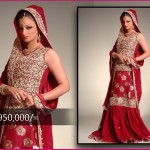 Rizwan Moazzam Bridal Collection 2012