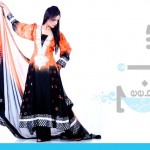 Stylish Deebaj Party Wear Collection 2012-2013 | Pakistani Dresses