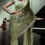 Indian sari trends 2012 - Latest Asian Fashions