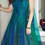 latest women stylish party wear dresses 2012