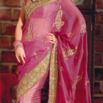 Pakistani Sari Fashion Trends 2012 - Latest Asian Fashions