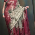 Indian Wedding Saree designs - Latest Asian Fashions