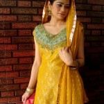 Beautiful Pakistani Bridal Mehndi Dress