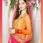 bridal makeup pakistani 2012