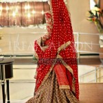 Pakistani bridal dresses
