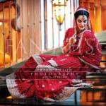 Pakistani bridal dresses 2013