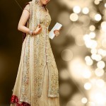 wedding lehenga with long shirt.
