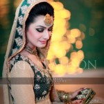 Green and skin bridal dresses 2013