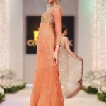 Latest designs of pakistani gowns