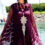 Pakistani dresses with silver stone work