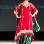 indian and pakistani bridal dresses