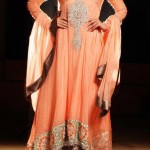 Pakistani neck embroidery outfits