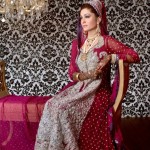 Maxi style long pakistani dress