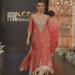 Pakistani dresses with neck embroidery