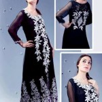 Pakistani formal dresses with back embroidery