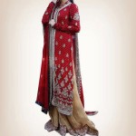 traditional pakistani dresses in red color