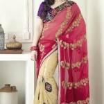 Fancy saree designs 2013