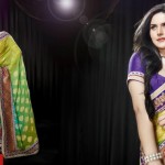 Designers sari