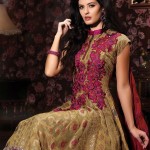 Embroidered indian anarkali frocks