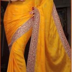 Indian saree designs 2013