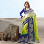 Indian saree fashion 2013