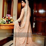 Pakistani walima dresses in tail style