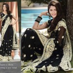 Saree designs 2013