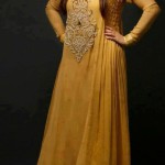 Fancy pakistani formal dress designs