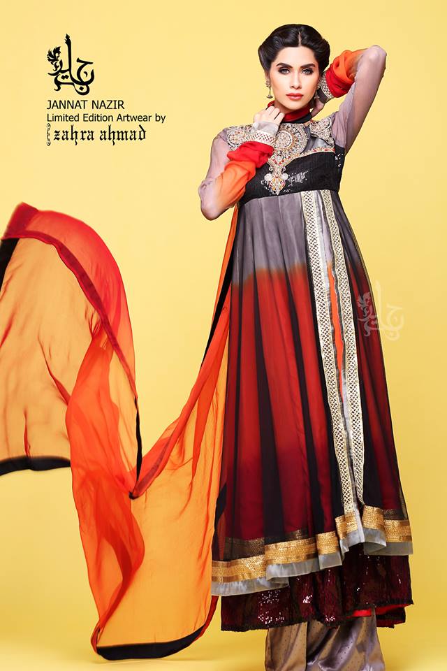 Pakistani chiffon dresses 2013