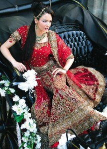 Indian bridal choli dresses