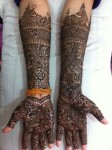 Indian bridal henna designs