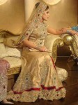 bridal walima dress new designs