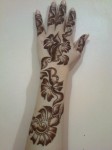 Bridal mehndi designs 2014