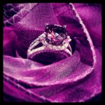 radaint orchid ring 2014