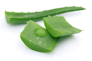 aloe vera for thicker eyebrow growth