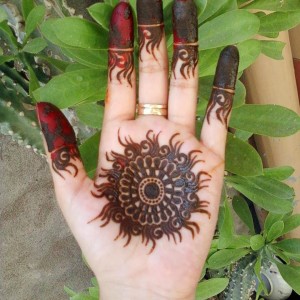 Beautiful indian mehndi designs 2014