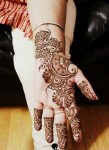 Best mehndi designs for Eid 2014